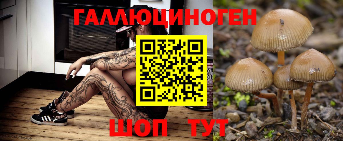 Балтийск  Псилоцибиновые грибы мухоморы  Галлюциногенные грибы Psilocybine cubensis  Вход с VPN 